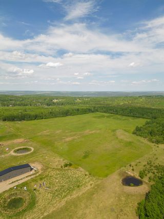 Photo 6: LOT A 283 Road in Fort St. John: Fort St. John - Rural W 100th Land for sale : MLS®# R2745763