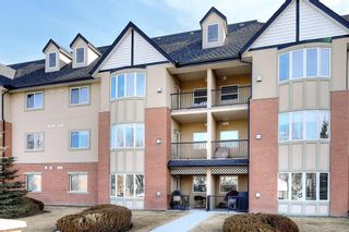 Photo 39: 2229 48 Inverness Gate SE in Calgary: McKenzie Towne Apartment for sale : MLS®# A1197626