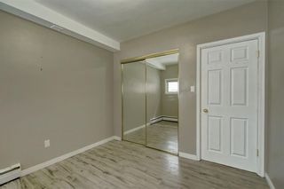 Photo 11: 215 8235 ELBOW Drive SW in Calgary: Chinook Park Apartment for sale : MLS®# A2080929