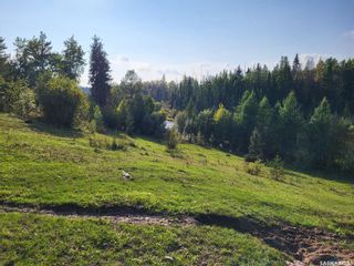 Photo 16: Loon Lake 1,162.4 acres Pastureland in Loon Lake: Farm for sale (Loon Lake Rm No. 561)  : MLS®# SK940726