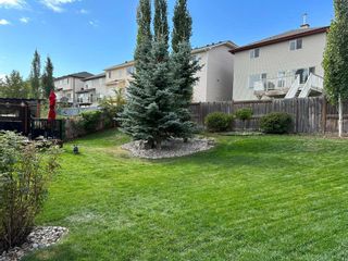 Photo 33: 25 Panamount Rise NW in Calgary: Panorama Hills Detached for sale : MLS®# A2130885