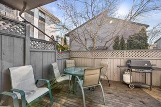 Photo 16: 9 225 W 14TH Street in North Vancouver: Central Lonsdale Townhouse for sale in "CARLTON COURT" : MLS®# R2658844