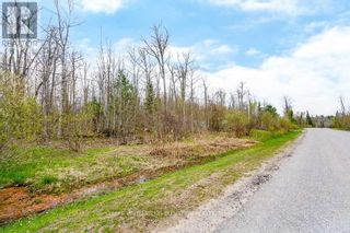 Photo 7: 47 MEADOWS AVE in Tay: Vacant Land for sale : MLS®# S5977167