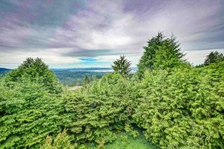 Photo 4: 573 BALLANTREE Road in West Vancouver: Glenmore House for sale : MLS®# R2469173