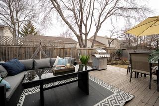 Photo 27: 31 Cummings Crescent in Winnipeg: River Park South Residential for sale (2F)  : MLS®# 202311684