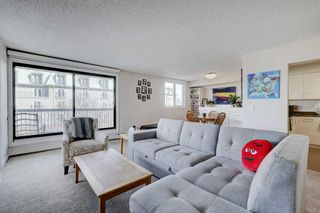 Photo 4: 404 225 25 Avenue SW in Calgary: Mission Apartment for sale : MLS®# A2123303