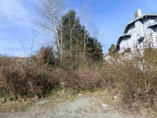 Photo 8: Lot 20 S FLETCHER Road in Gibsons: Gibsons & Area Land for sale (Sunshine Coast)  : MLS®# R2136567