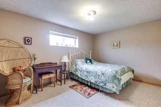Photo 37: 75 Dolan Close: Red Deer Detached for sale : MLS®# A2059918