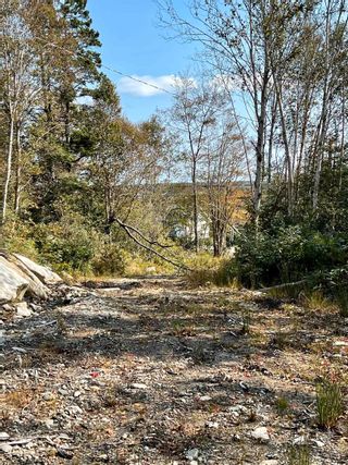 Photo 4: 438 West Green Harbour Road in West Green Harbour: 407-Shelburne County Vacant Land for sale (South Shore)  : MLS®# 202321524