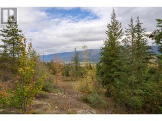 Photo 65: 271 Glenmary Road in Enderby: House for sale : MLS®# 10286818