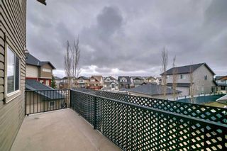 Photo 14: 21 Skyview Springs Circle NE in Calgary: Skyview Ranch Row/Townhouse for sale : MLS®# A2121788