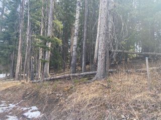 Photo 2: 162 Woodfrog Way: Rural Mountain View County Residential Land for sale : MLS®# A2016004