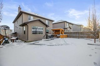 Photo 34: 180 Lavender Link: Chestermere Detached for sale : MLS®# A2102762