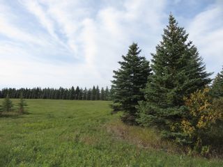 Photo 7: 0 Centreline Road: RM Springfield Vacant Land for sale (R04)  : MLS®# 202103923