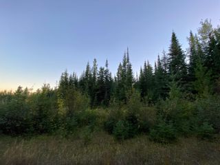 Photo 15: N1/2of DL7871 TAKLA FOREST Road in Prince George: Nechako Ridge Land for sale in "McPhee Road" (PG City North)  : MLS®# R2768067