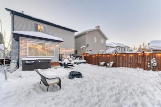 Photo 39: 458 Elgin Way SE in Calgary: McKenzie Towne Detached for sale : MLS®# A2011456