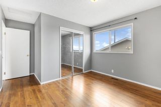 Photo 20: 228 Beddington Circle NE in Calgary: Beddington Heights Detached for sale : MLS®# A2129122