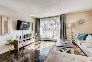 Photo 5: 404 120 24 Avenue SW in Calgary: Mission Apartment for sale : MLS®# A1079776