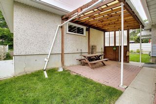 Photo 38: 29 CALANDAR Road NW in Calgary: Collingwood Detached for sale : MLS®# C4304918
