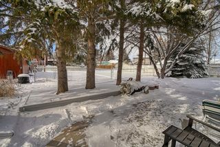 Photo 44: 1029 1 Street SW: High River Detached for sale : MLS®# A2036497