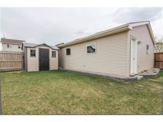 Photo 5: 230 CRANBERRY Close SE in Calgary: Cranston House for sale : MLS®# C4063122