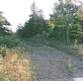 Photo 3: East River East Side Road in Springville: 108-Rural Pictou County Vacant Land for sale (Northern Region)  : MLS®# 202205341