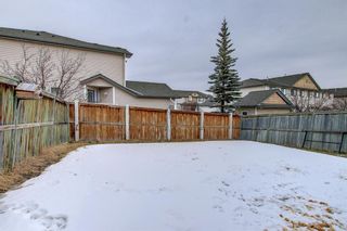 Photo 40: 6 Citadel Estates Heights NW in Calgary: Citadel Detached for sale : MLS®# A1175507