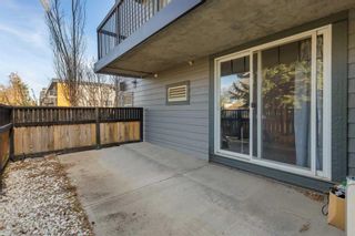 Photo 19: 101 1301 17 Avenue NW in Calgary: Capitol Hill Apartment for sale : MLS®# A2131054