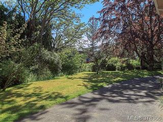 Photo 15: 3505 James Hts in VICTORIA: SE Cedar Hill House for sale (Saanich East)  : MLS®# 759789