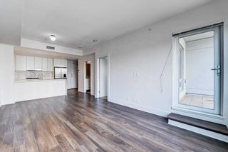 Photo 9: 303 46 9 Street NE in Calgary: Bridgeland/Riverside Apartment for sale : MLS®# A2120826