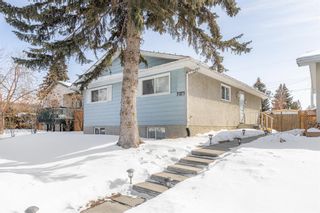 Photo 2: 3323 Doverview Road SE in Calgary: Dover Detached for sale : MLS®# A2032584