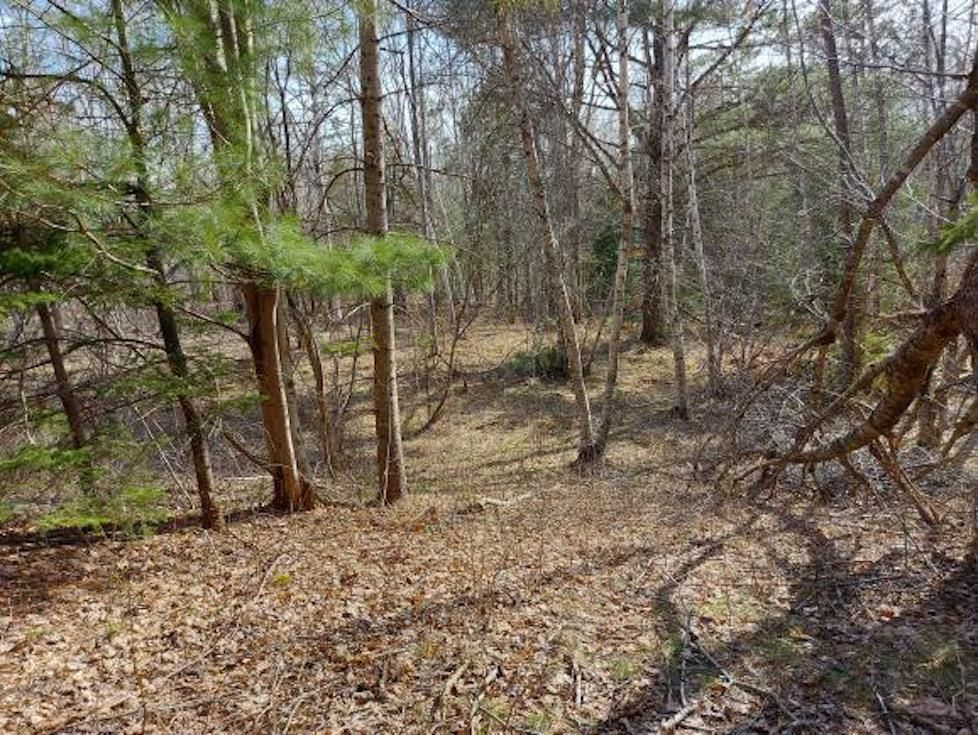 Main Photo: Lot R Rosemary Avenue in Centre Rawdon: 105-East Hants/Colchester West Vacant Land for sale (Halifax-Dartmouth)  : MLS®# 202307735