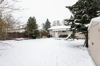 Photo 39: 80 Hammond Road in Winnipeg: Westdale Residential for sale (1H)  : MLS®# 202329410