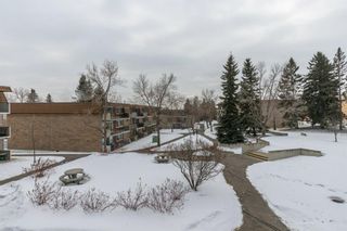 Photo 7: 32B 231 Heritage Drive SE in Calgary: Acadia Apartment for sale : MLS®# A1172862