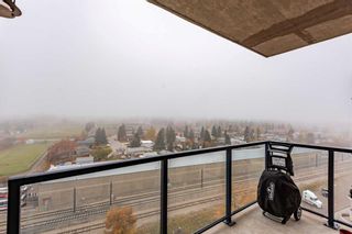 Photo 31: 1019 8880 Horton Road SW in Calgary: Haysboro Apartment for sale : MLS®# A2087502
