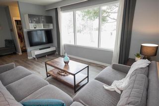 Photo 10: 145 Hawthorne Avenue in Winnipeg: Fraser's Grove Residential for sale (3C)  : MLS®# 202308352