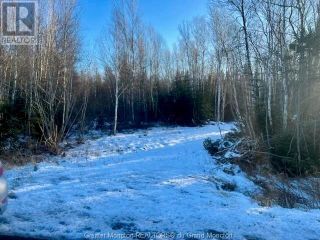 Photo 2: Lot Route 16 in Melrose: Vacant Land for sale : MLS®# M157122