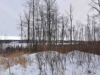 Photo 2: 13195 PARK FRONTAGE Road in Charlie Lake: Lakeshore Land for sale in "CHARLIE LAKE" (Fort St. John)  : MLS®# R2741499