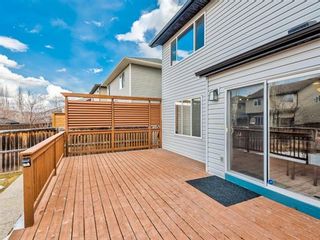 Photo 26: 133 Chapalina Close SE in Calgary: Chaparral Residential for sale ()  : MLS®# A1078528