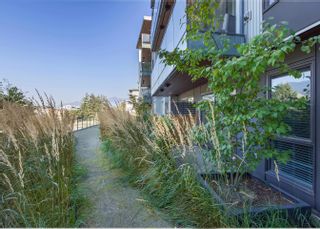 Photo 28: 303 37881 CLEVELAND Avenue in Squamish: Downtown SQ Condo for sale : MLS®# R2744304