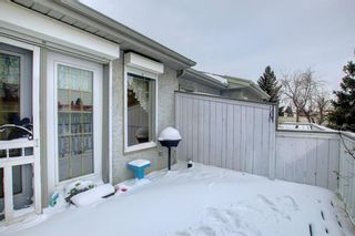 Photo 12: 59 Rundlelawn Green NE Calgary Home For Sale
