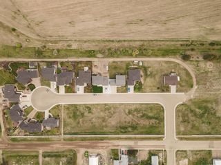 Photo 2: 2 Cottonwood Crescent: Rosemary Residential Land for sale : MLS®# A2114091