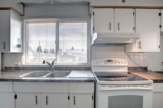 Photo 14: 11 Maryvale Place NE in Calgary: Marlborough Detached for sale : MLS®# A1207159