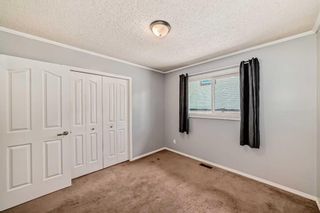 Photo 17: 323 Tanner Drive SE: Airdrie Detached for sale : MLS®# A2138748