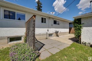 Photo 32: 8915 162 Street in Edmonton: Zone 22 House for sale : MLS®# E4299109