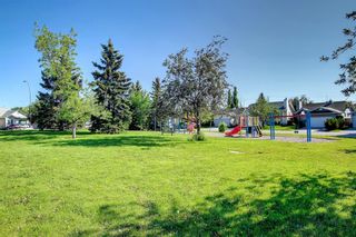 Photo 39: 268 Coventry Close NE in Calgary: Coventry Hills Detached for sale : MLS®# A1233815