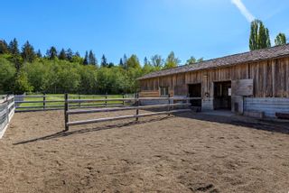 Photo 33: Vancouver Island Horse Property