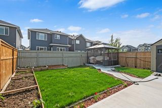 Photo 39: 147 Red Embers Square NE in Calgary: Redstone Detached for sale : MLS®# A2049079