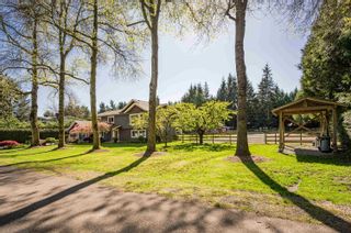Photo 2: 5131 242 Street in Langley: Salmon River House for sale in "SALMON RIVER" : MLS®# R2880836