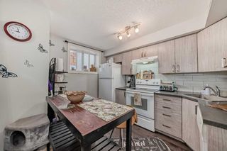 Photo 10: B 125 23 Avenue SW in Calgary: Mission Apartment for sale : MLS®# A2132396
